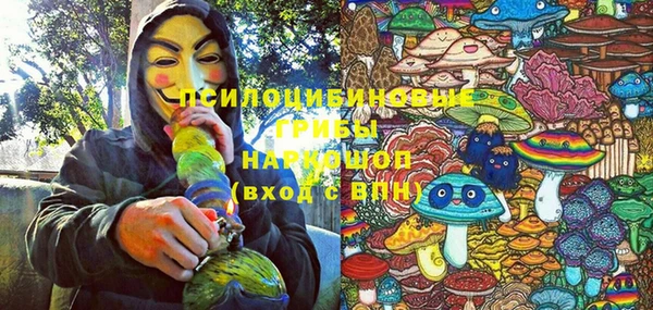 дмт Алексин