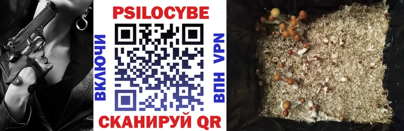 Псилоцибиновые грибы Psilocybe  ссылка на мегу сайт  Похвистнево 