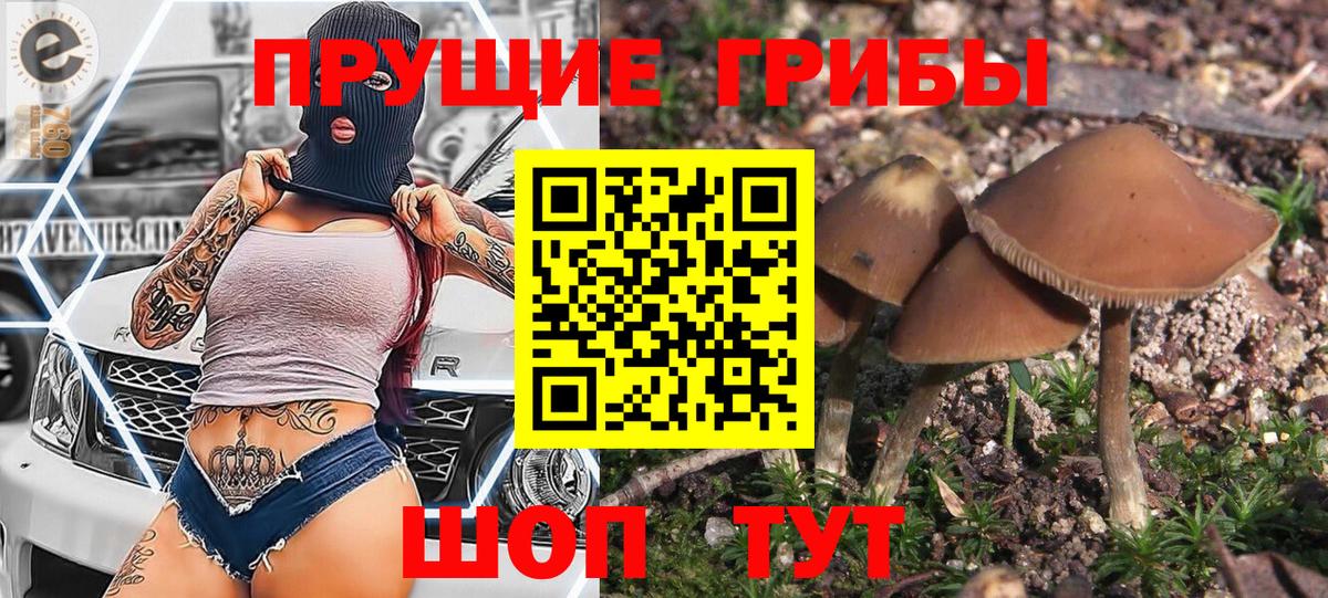 Похвистнево  Псилоцибиновые грибы мицелий  Вход с VPN  Псилоцибиновые грибы прущие грибы 
